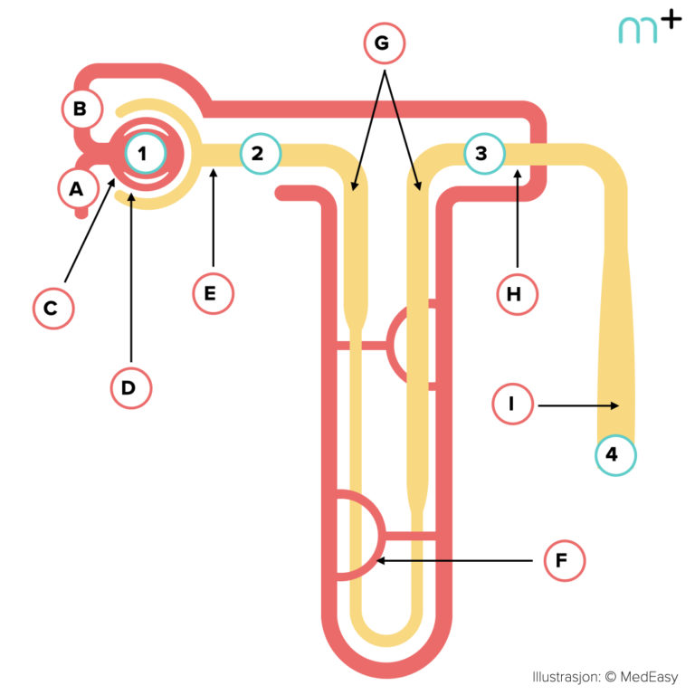 Ny podkastepisode om