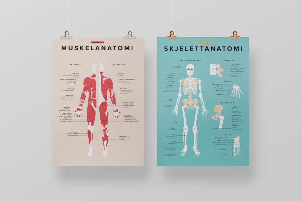 diameter Æsel Centrum Helt nye anatomiplakater fra MedEasy!